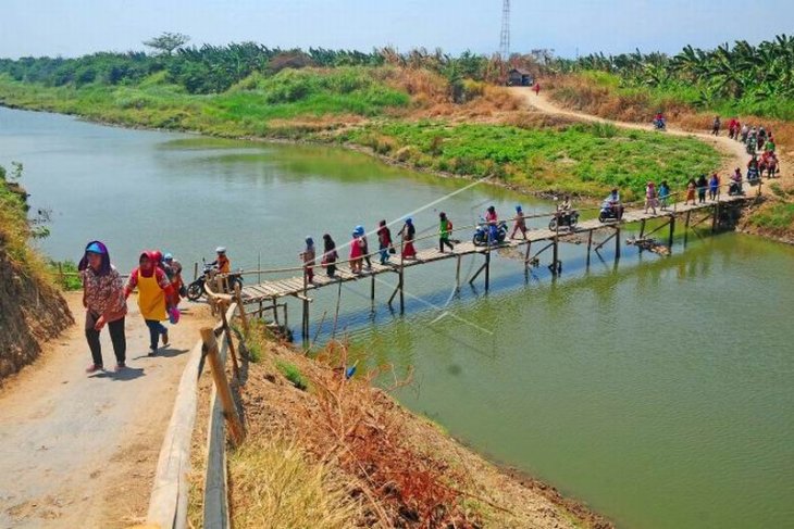 Jembatan kayu penghubung desa