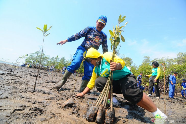 Some 70 percent damage caused to South Kalimantan  s 