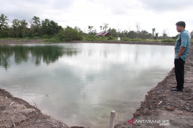 Dinas Perikanan kembangkan budi daya ikan air tawar