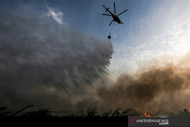 Helikopter pemadam kebakaran hutan di Portugal jatuh