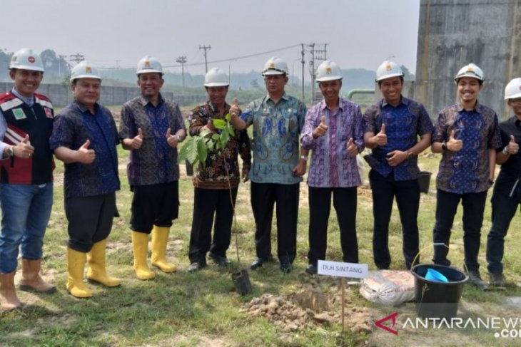 PLN tanam 500 pohon untuk hijaukan lokasi pembangunan PLTU Sintang