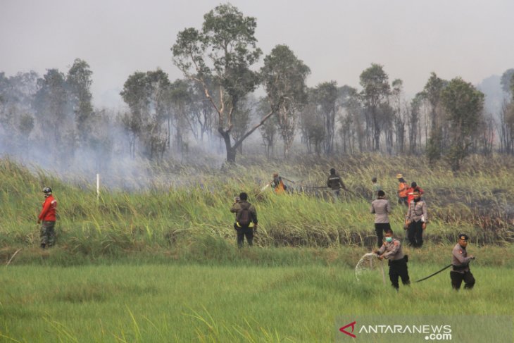 Upaya Pemadaman Kebakaran Lahan Gambut