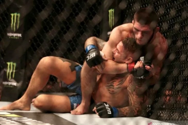 Kaleidoskop olahraga tarung: Khabib dan come backnya Tyson