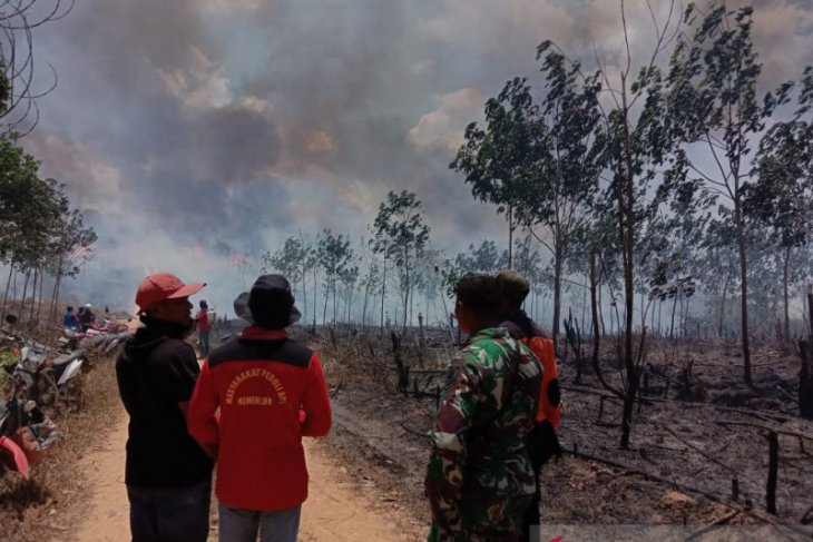25 Ha Lahan Perkebunan PT Inhutani II Terbakar