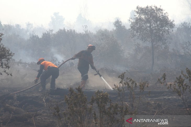 Pemadaman Kebakaran Hutan Dan Lahan