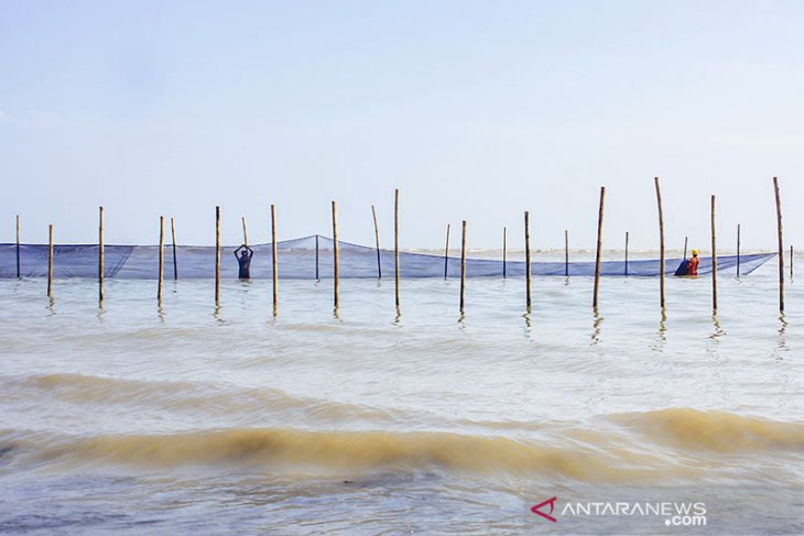 Pemasangan Kain Waring di Perairan Pantai Utara Karawang