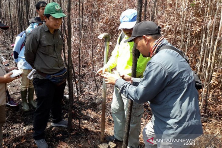 Gerbang Tani Kalimantan Barat berharap BRG tidak dibubarkan