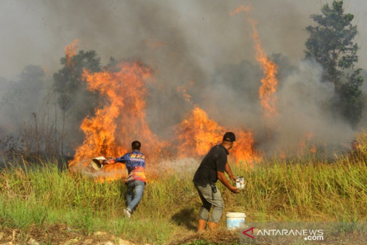 Upaya Pemadaman Kebakaran Hutan Dan Lahan