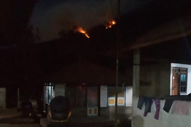 Terbakar, hutan di lereng Gunung Agung