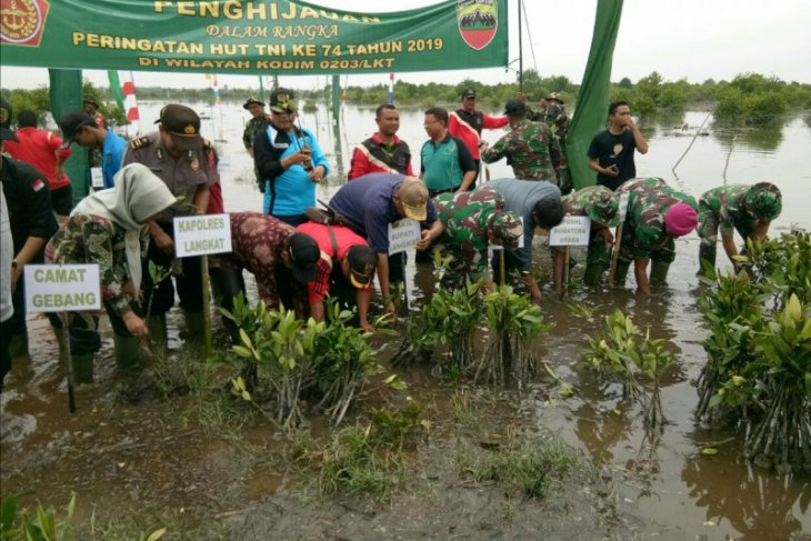 HUT TNI ke-74 Wakil Bupati Langkat tanam 5.000 pohon mangrove