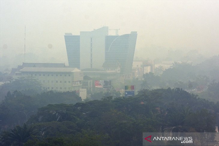 Haze impairs visibility to 700 meters in Pekanbaru