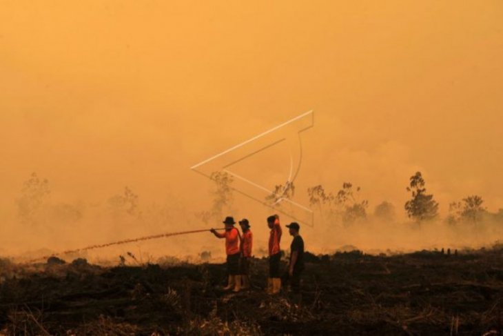 Kendala pemadaman api pembakar semak meningkat bila kanal masyarakat kering