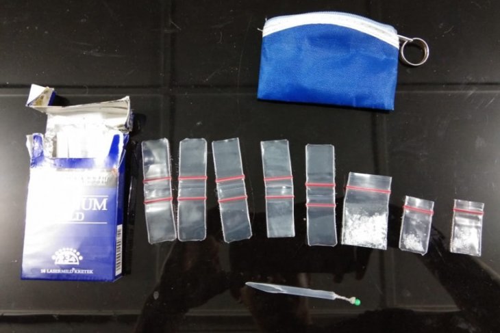 Polisi Pangkalan Brandan tangkap pemilik sabu sabu