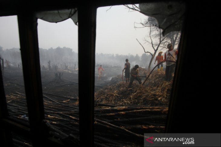 Kebakaran Lahan Gambut Mengenai Rumah Warga