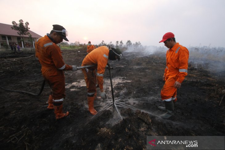 Kepala Dinas Kehutanan Ikut Serta Memadamkan Karhutla