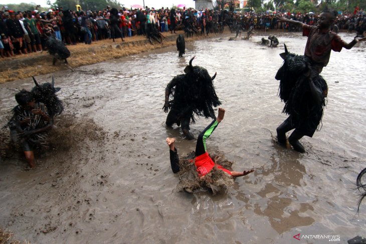 Ritual Kebo-keboan Alasmalang