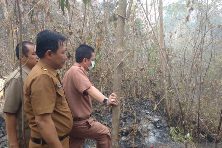 Bupati Syahirsah tinjau Karhutla di Tahura Sultan Thaha Batanghari