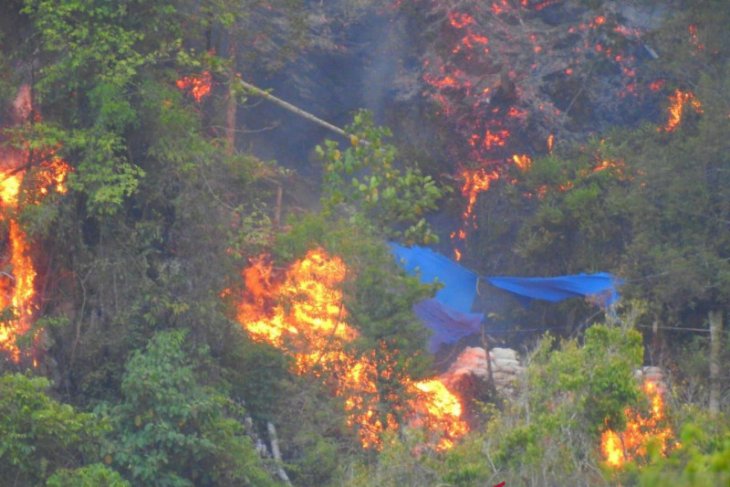 Kawasan hutan di Suwawa Timur-Bone Bolango terbakar