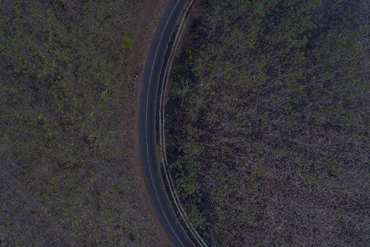 Kebakaran Hutan Di Jawa Barat