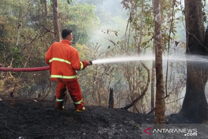 117 titik panas di Bengkulu, kualitas udara masih kategori baik