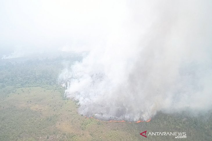 BERJIBAKU JAGA ANCAMAN KARHUTLA