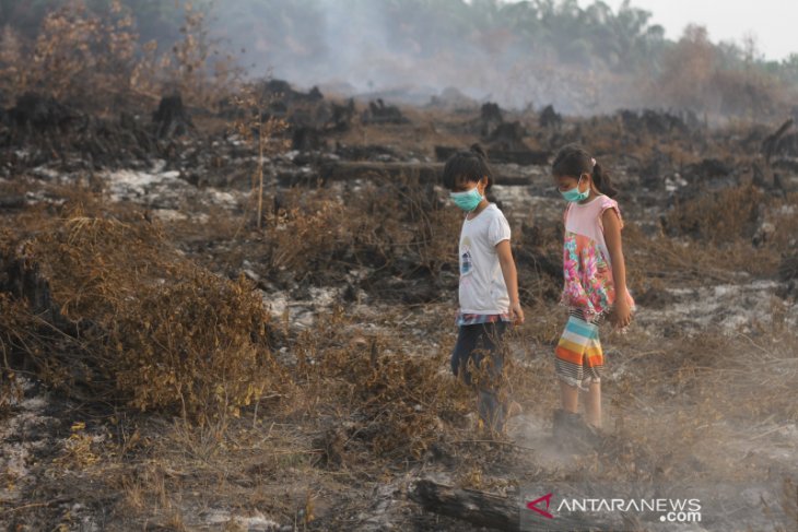 Kota Banjarbaru Berstatus Darurat Karhutla