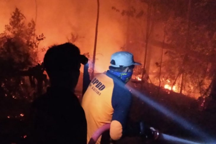 Ditangkap polisi, pelaku pembakaran lahan terancam 5 tahun penjara