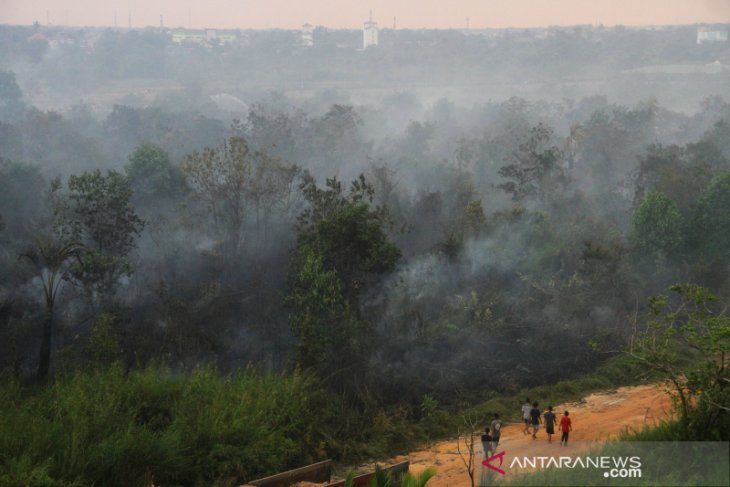 Kebakaran Lahan Di Perbatasan Kota Banjarmasin