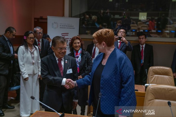 Government to reexamine clauses in Criminal Code Law draft: Kalla