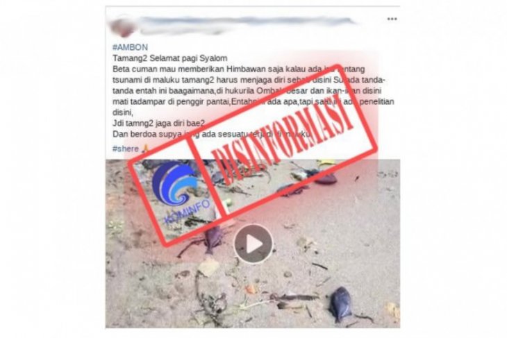 BMKG berita ancaman tsunami di Passo hoaks