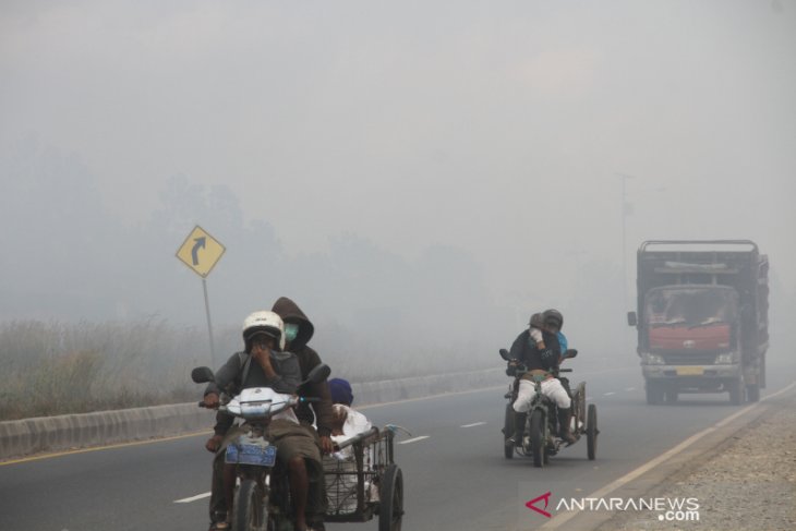 Dampak Kabut Asap Karhutla