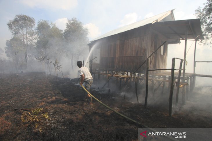 Kebakaran Lahan Di Permukiman Penduduk