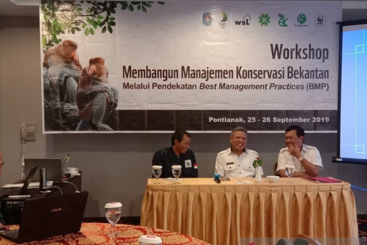 Pemkab Kubu Raya kawal WWF bangun manajemen konservasi Bekantan