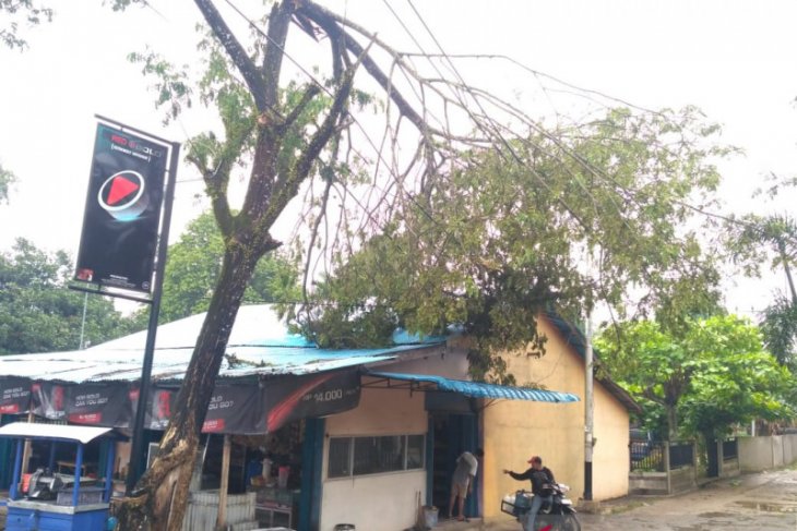 Gerak cepat PLN Kalbar atasi gangguan akibat angin puting beliung
