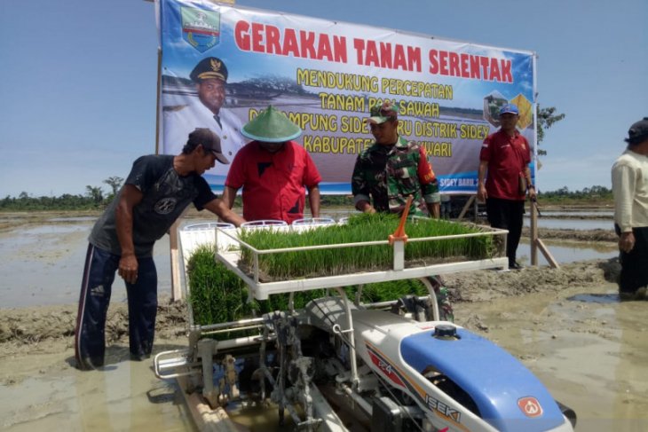 Petani padi di Sidey Manokwari serentak awali musim tanam ketiga