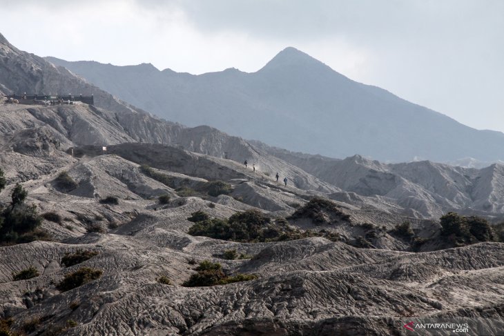 Wisata Gunung Bromo