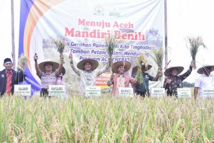 Petani Aceh Tamiang hasilkan tanaman padi empat ton/hektare