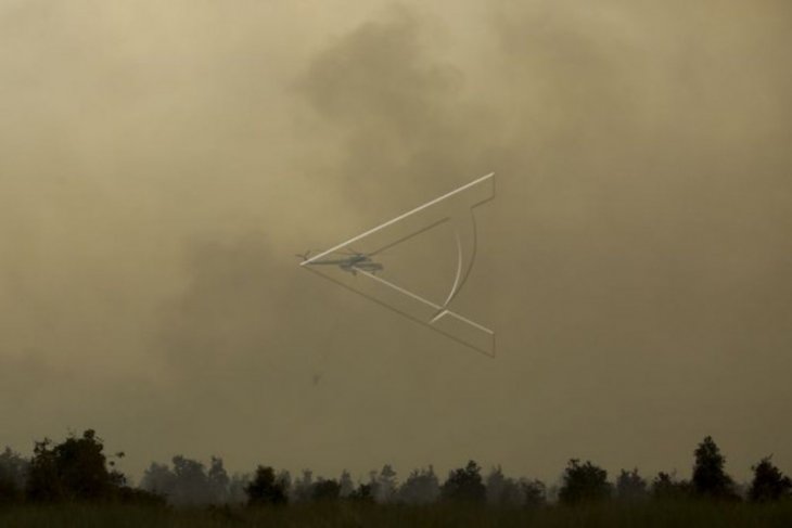 Titik panas di Sumatera Selatan melonjak hingga 610 hotspot