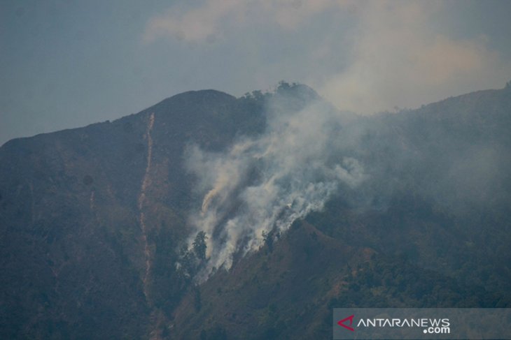 Kebakaran Lahan di Gunung Malabar