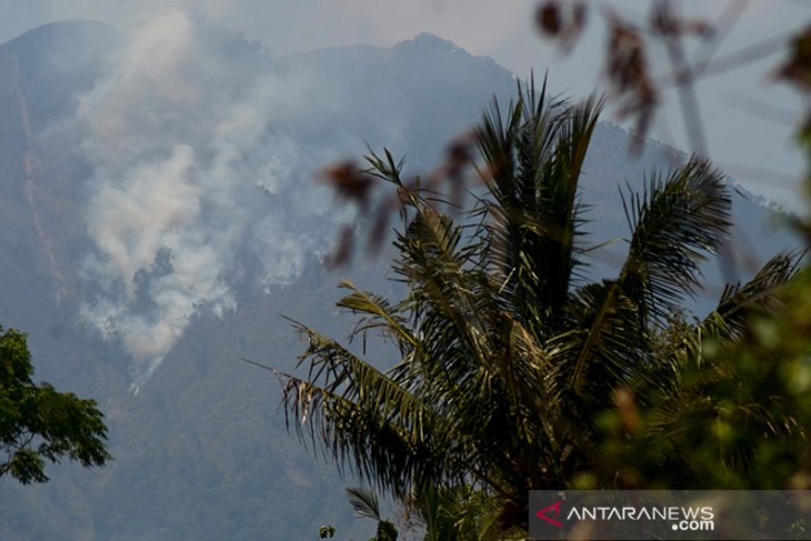 Kebakaran Lahan di Gunung Malabar