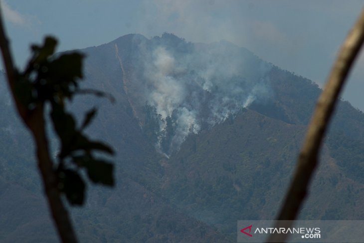 Kebakaran Lahan di Gunung Malabar