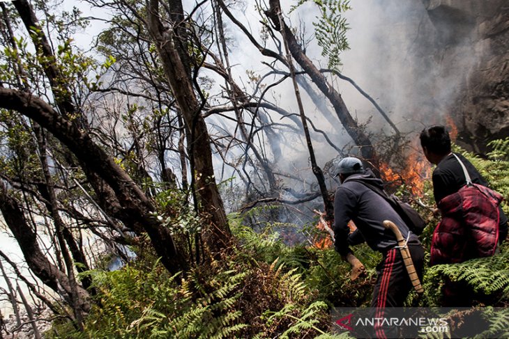 Kebakaran Hutan Kawasan Kawah Putih