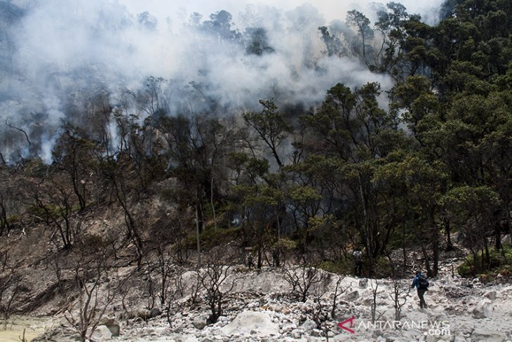 Kebakaran Hutan Kawasan Kawah Putih