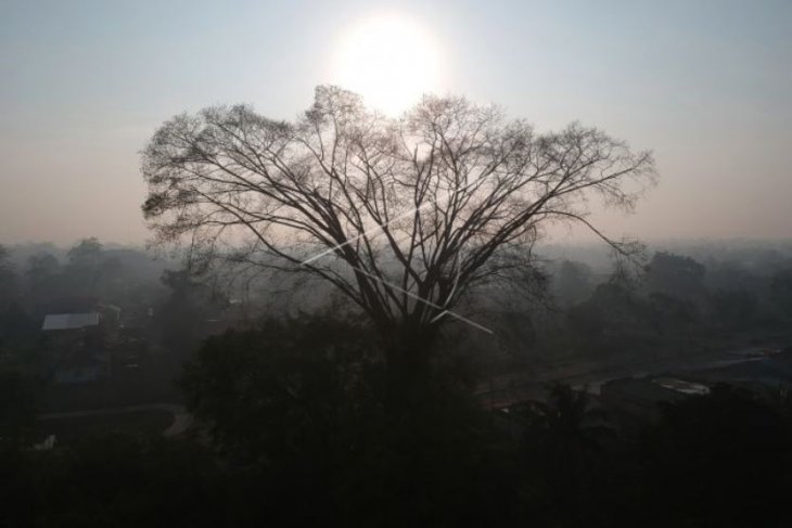 Masih ada selimut asap di Jambi