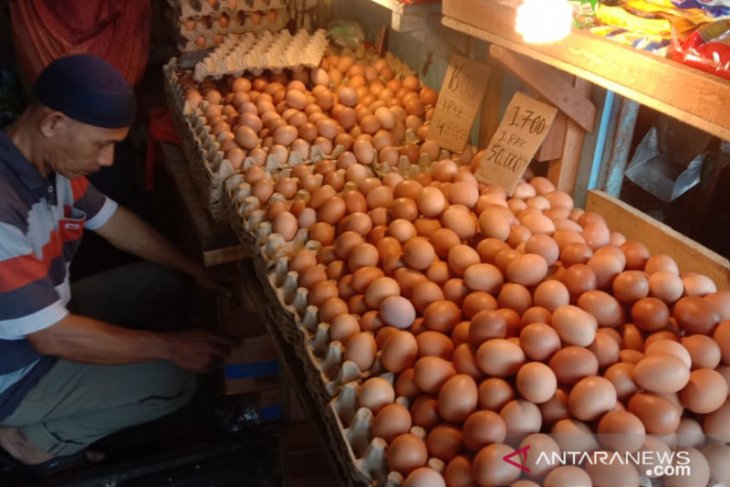 Harga telur ayam ras di pasar tradisional Ambon naik ...