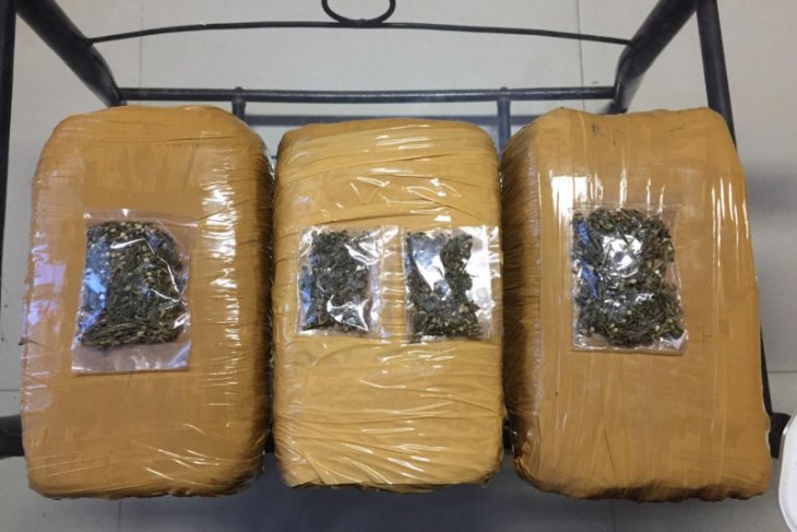 Dua warga Cianjur bawa ganja dijanjikan upah Rp20 juta