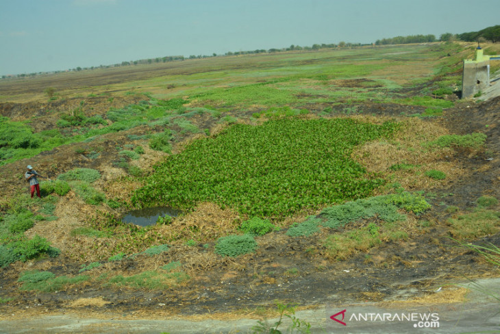 Waduk Joto Lamongan mengering