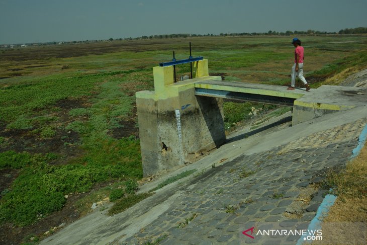 Waduk Joto Lamongan mengering