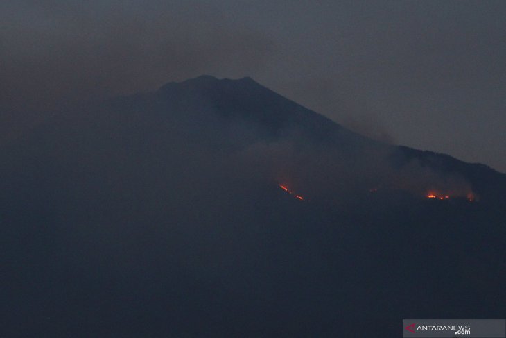 Kebakaran hutan Gunung Arjuno