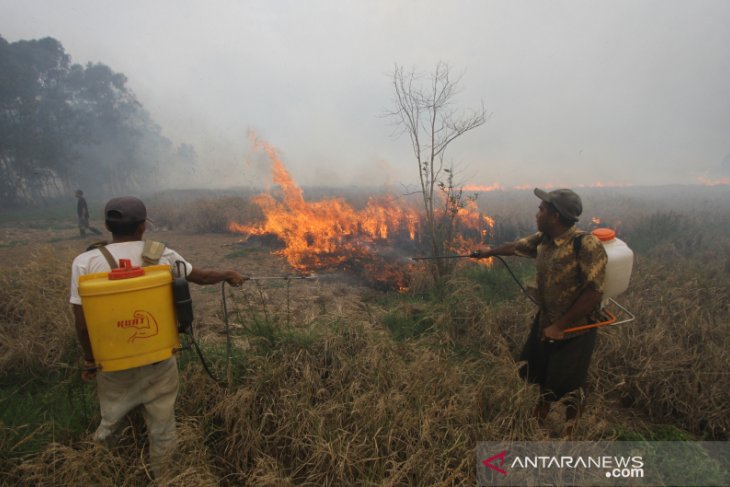 Kebakaran Lahan Di Kalsel